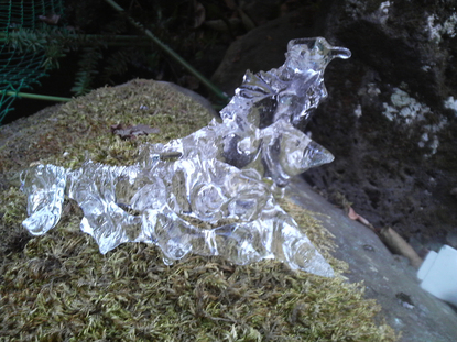 ram20120202.jpg